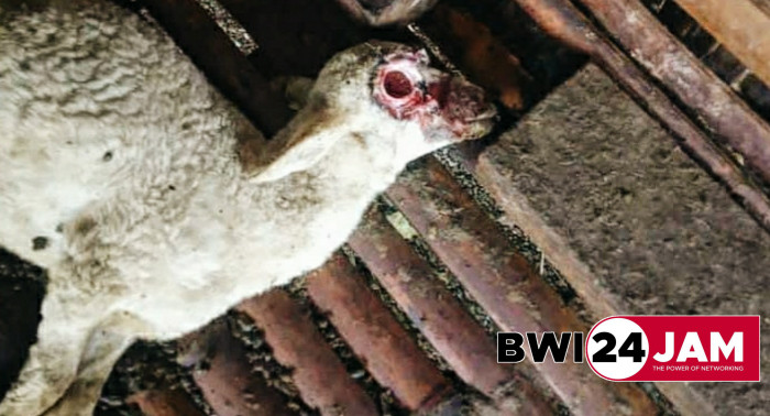 20240501_202316.jpg