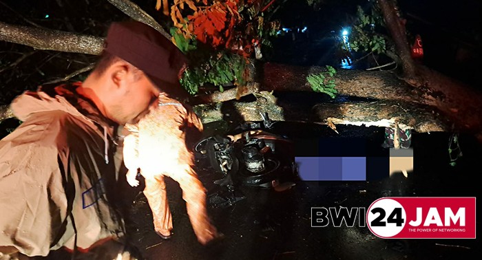 LAKA.jpg