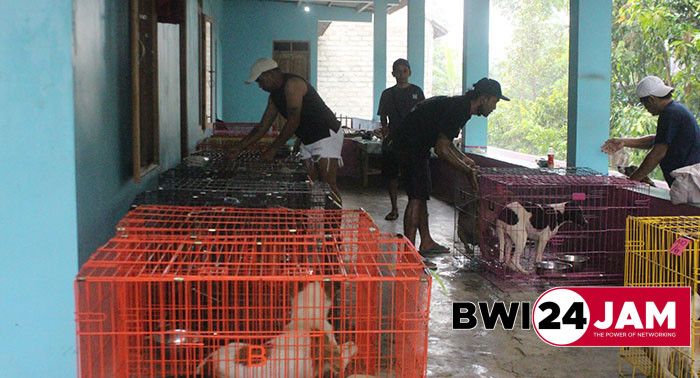 anjing_di_penampungan_di_cluring2024.jpg