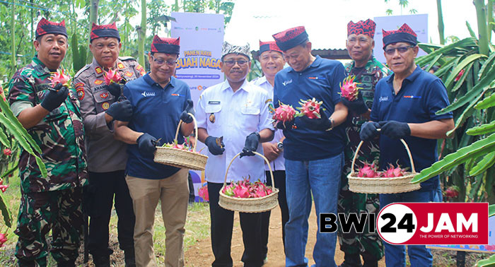 buah_naga_banyuwangi_224.jpg