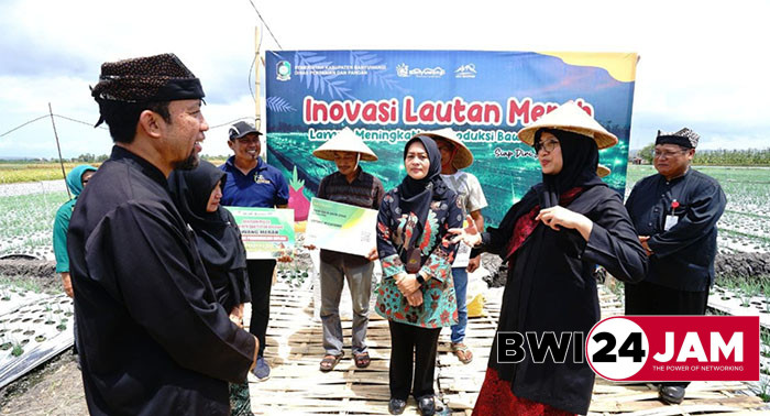 bupati_bunga_desa_di_desa_kedungwungu_tegaldlimo_bwi.jpg