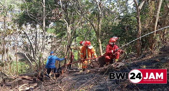 damkar_padamkan_lahan_di_banyuwangi.jpg
