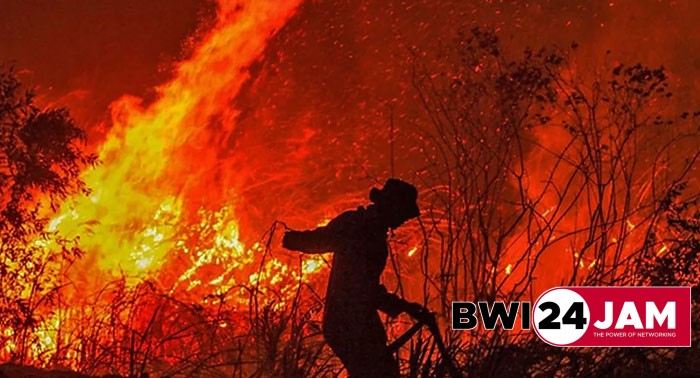ilustrasi_kebakaran_hutan.jpg