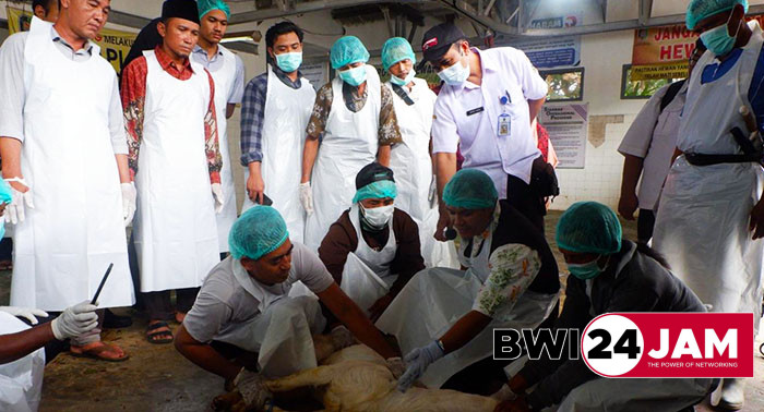 juleha_idul_adha_2024_di_banyuwangi.jpg