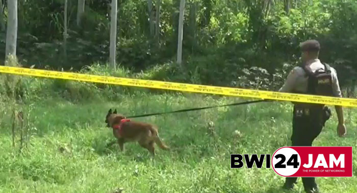 k9_polisi_bwi2024.jpg