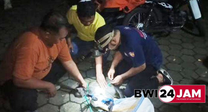 monyet_di_bwi2025.jpg
