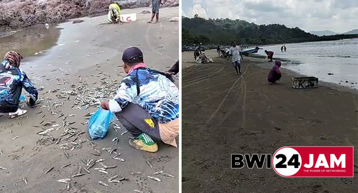 pantai_rajegwesi_bwi2024.jpg