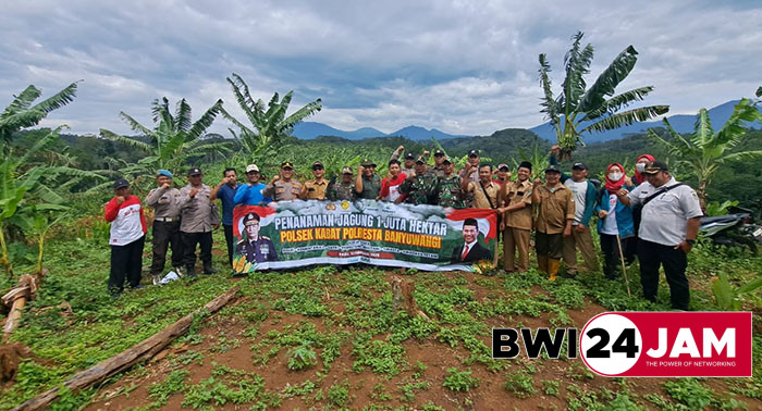 penanaman_jagung_serentak_di_kabat_bwi2025.jpg