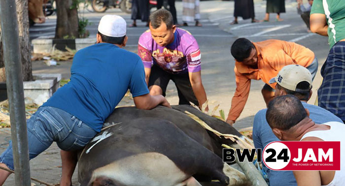 penyembelihan_hewan_kurban_polresta_bwi_2024.jpg