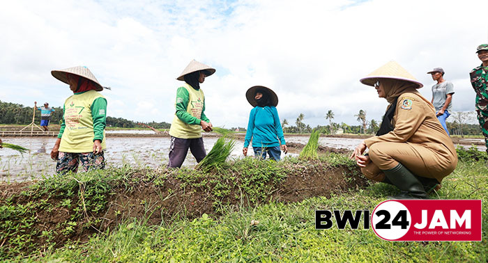 petani_di_desa_temuguruh_banyuwangi_2024.jpg