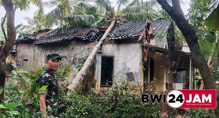 pohon_kelapa_timpa_rumah_patoman_banyuwangi.jpg