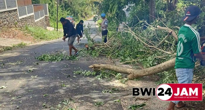 pohon_tumbang_angin_kencang_bwi_januari2024.jpg