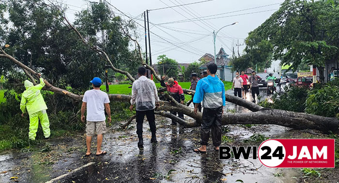 pohon_tumbang_di_bwi_2024_desember.jpg