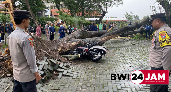 pohon_tumbang_di_poliwangi2025_maret.jpg