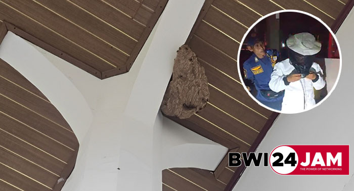 sarang_tawon_bwi.jpg