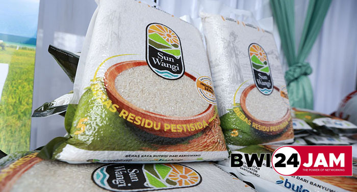 sunwangi_bwi2025.jpg