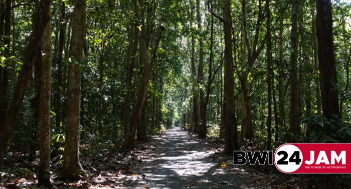 tn_alas_purwo_banyuwangi1.jpg