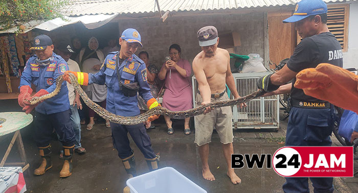 ular_dievakuasi_di_bwi2024.jpg