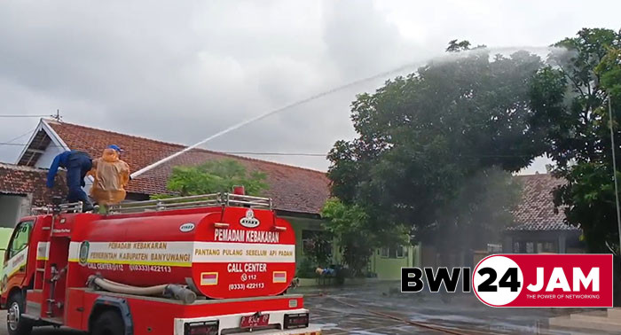 ulat_bulu.jpg